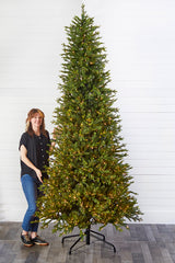 10' Slim Southern Fir with 2000 3mm Lights
