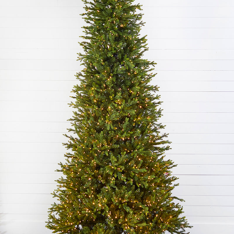 10' Slim Southern Fir with 2000 3mm Lights