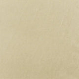 1 Yard Fairy Beige Spandex Velvet Knit Fabric 58 Inches