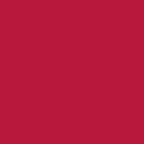 Gutermann Sew All Thread 100m - 347 Crimson