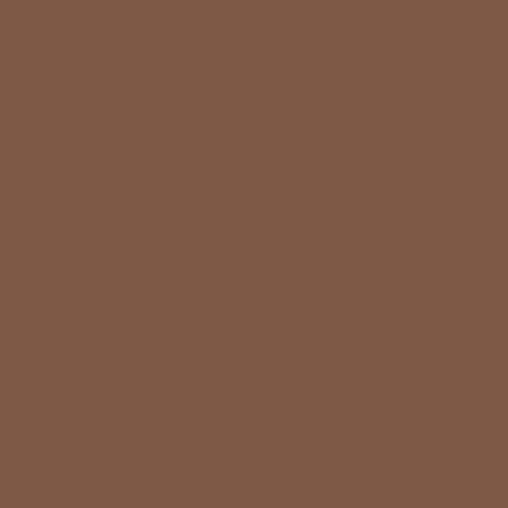 Gutermann Sew All Thread 100m - 542 Light Brown