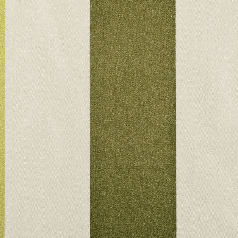 Olive Stripes Regal