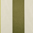 Olive Stripes Regal