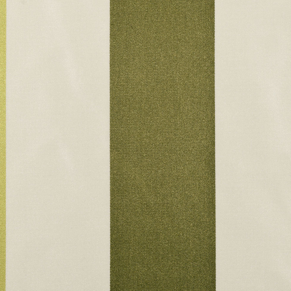 Olive Stripes Regal