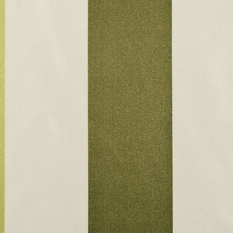 Olive Stripes Regal