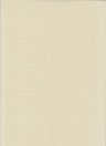 Washed Stretch Knit Fabric
