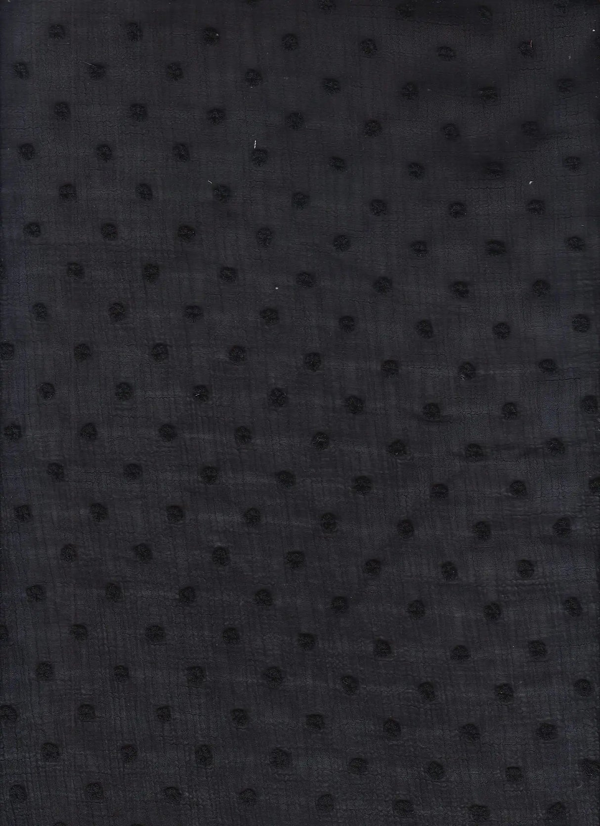 1 Yard Waffle Swiss Dot Chiffon Woven Fabric Textured Sheer Soft Drapery 59/60" Width