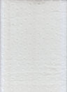 Swiss Dot Chiffon Woven Fabric