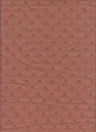 Swiss Dot Chiffon Woven Fabric