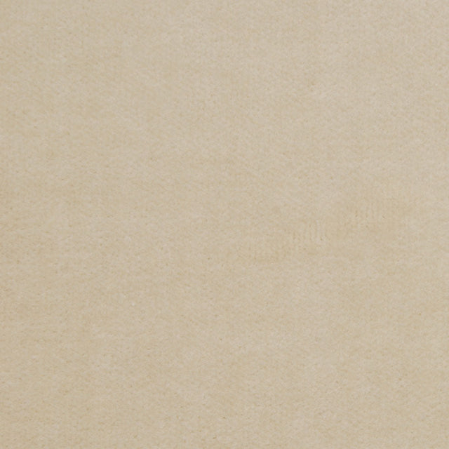 Beige Solid Cotton Velvet
