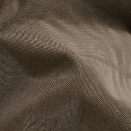 Lichen Solid Cotton Velvet