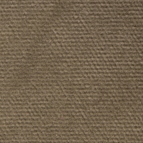 Lichen Solid Cotton Velvet
