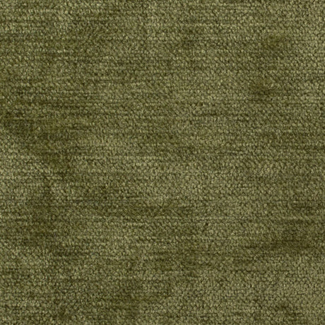 Forest Solid Chenille