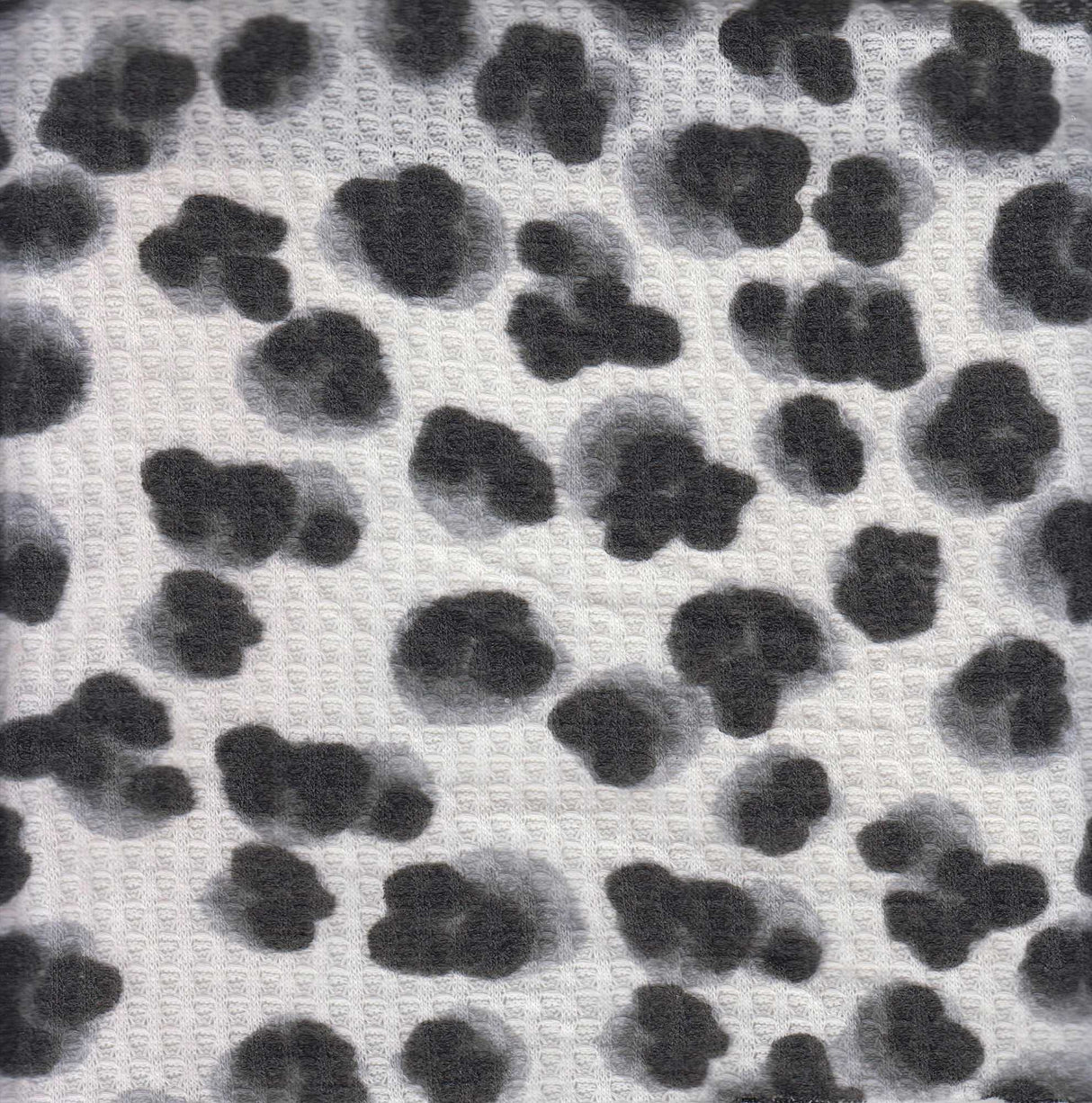 Ivory Animal Print Waffle Brushed Knit Fabric 1 Yard Soft Stretch Cozy 58/60" Wide