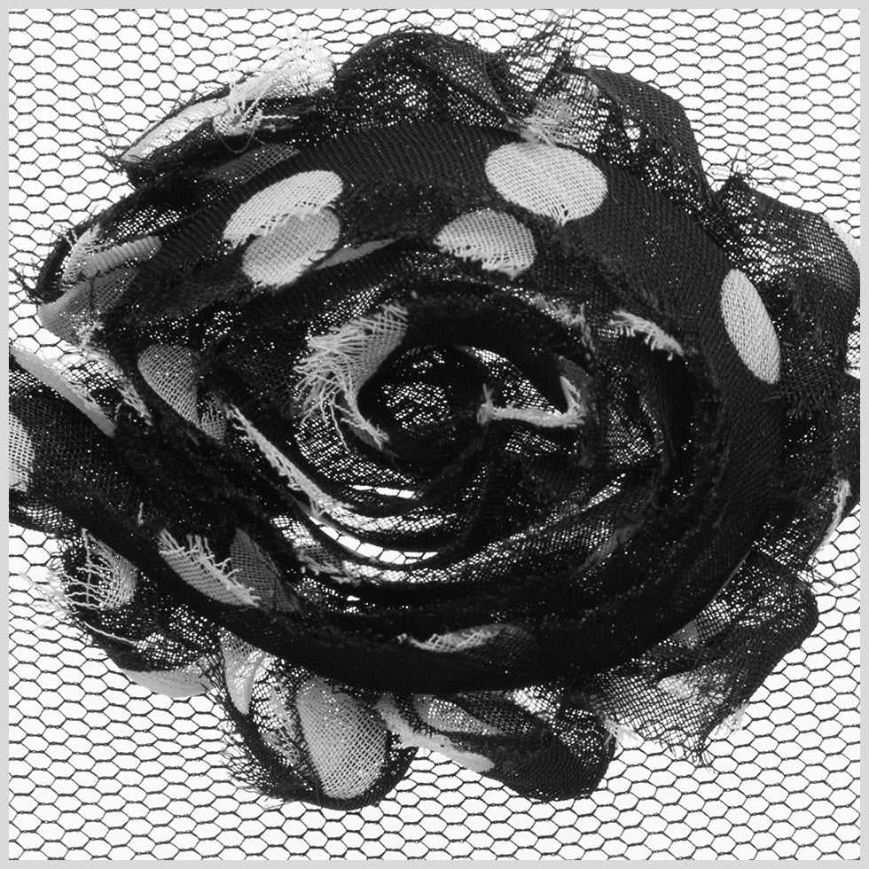 3" Black/White Polka Dotted Floral Lace Trim