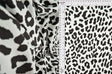 Animal Print Stretch Knit Fabric