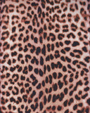 Animal Print Stretch Knit Fabric