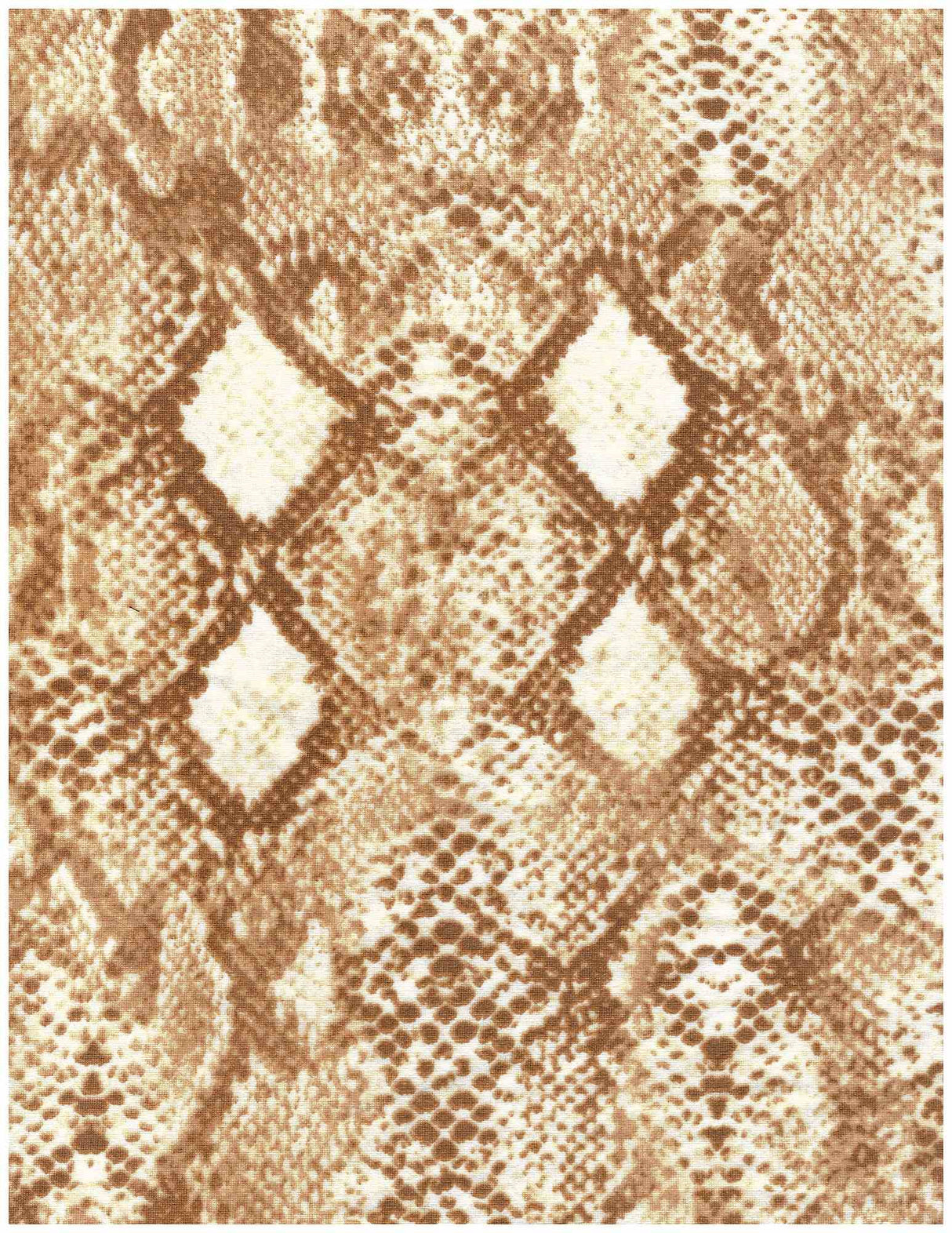 DTY Brushed Snake Skin Print Knit Fabric 1 Yard Soft Stretch Lightweight 58/60" Wide