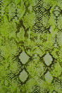 Snake Skin Print DTY Brushed Knit Lime Neon