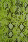 Snake Skin Print DTY Brushed Knit Lime Neon