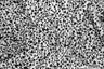 1 Yard Polyester Spandex DTY Knit Fabric Soft Stretch Heart Print 58/60" Width