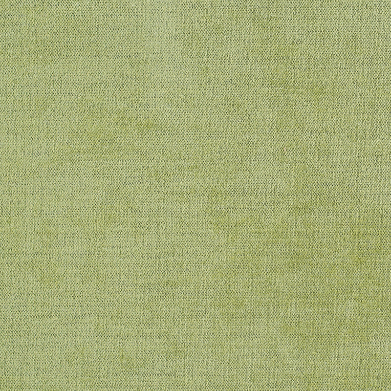 Avocado Upholstery Chenille