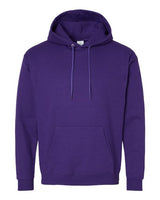 Hanes Unisex EcoSmart Hooded Sweatshirt