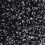 Mesh with Baby Sequins - Black
