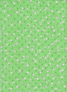 Chiffon Swiss Dot Ditsy Floral Green