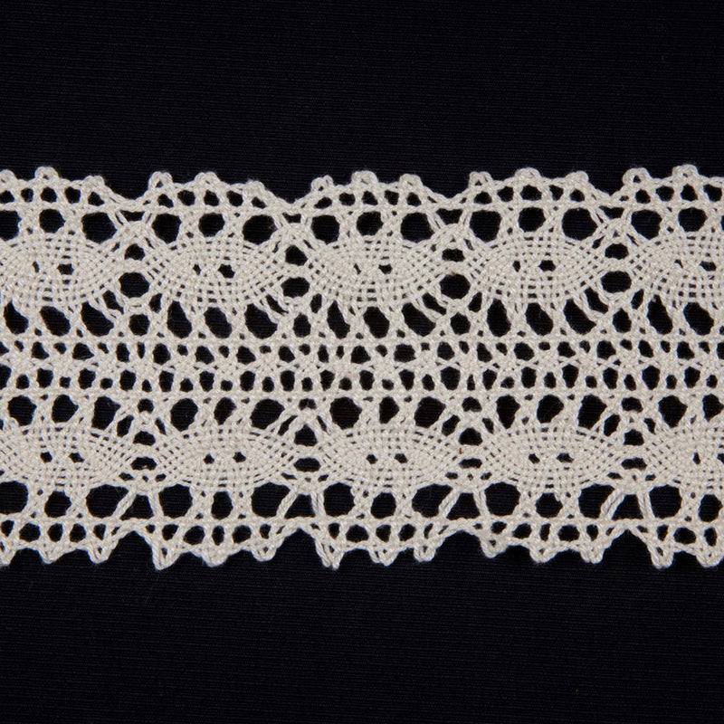 2.5" White Cluny Lace