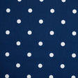 Estate Blue Cotton Canvas Polka Dots