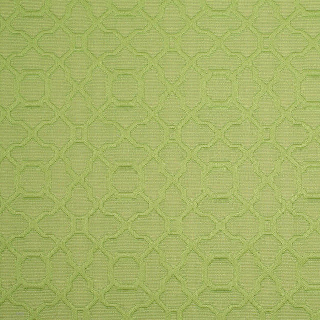 Lime Raised Lattice Pattern Cotton Woven