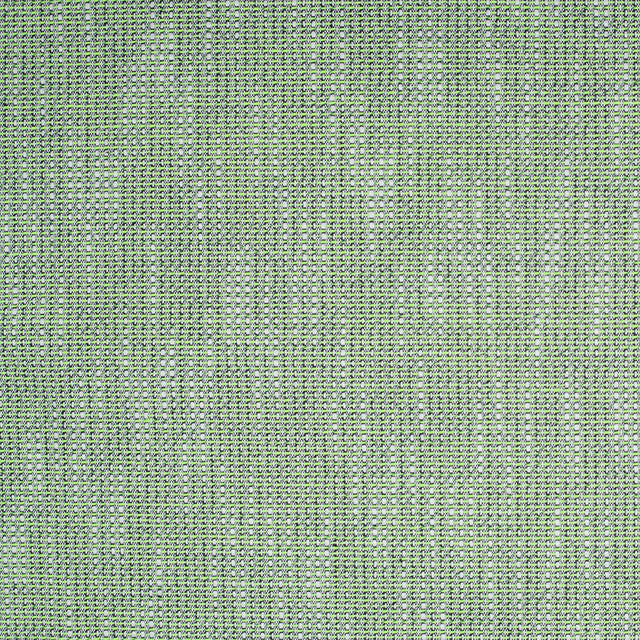 Firefly Neon Cotton Woven Home Fabric