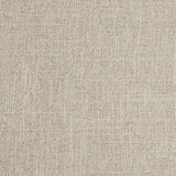 Indian Silver Striped Polyester-Cotton Brocade