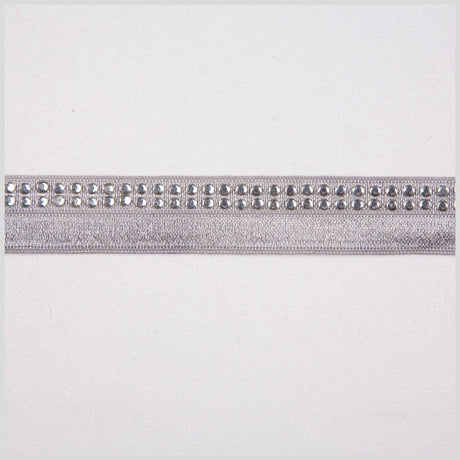 Silver Fancy Elastic Trim