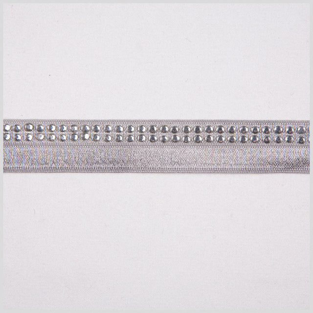 Silver Fancy Elastic Trim