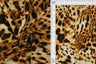 Animal Print Rib Knit Fabric Khaki Taupe