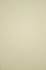 Washed Stretch Knit Fabric