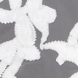 White Ribbon Embroidered Netting
