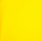 Acrylic Felt - Yellow - Robin Collection
