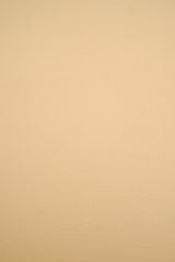 DTY Brushed Stretch Knit Fabric