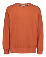 Men's Vintage Fleece Raglan Crewneck Sweatshirt