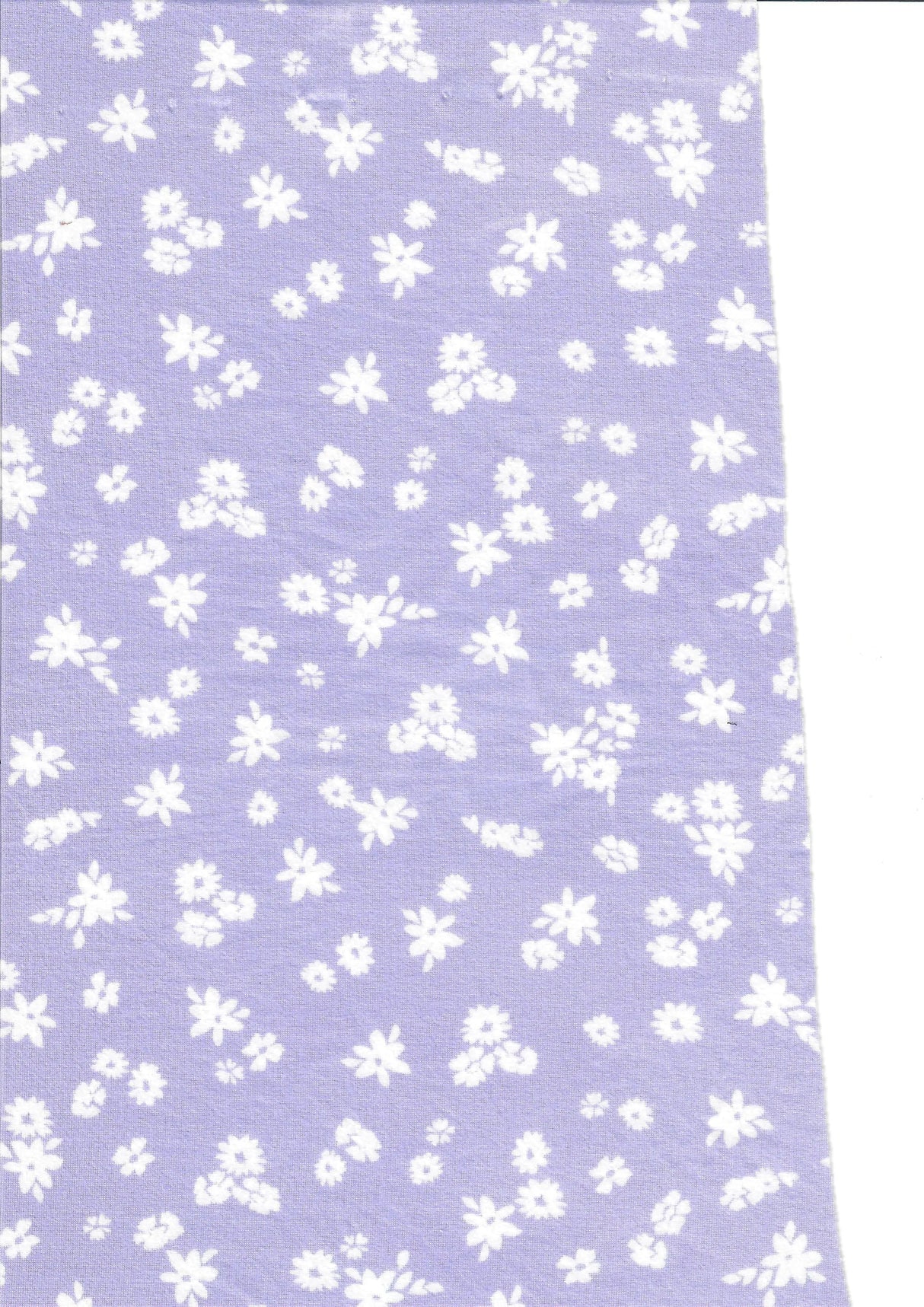 Ditsy Floral DTY Brushed Knit Fabric 1 Yard Stretch Soft Print 58/60" Wide
