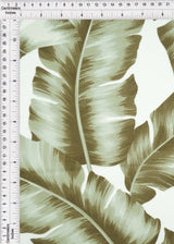 Leaf Print Stretch Knit Fabric Sage