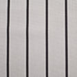 Slate Striped Cotton Canvas