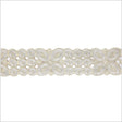 2.5" Metallic Silver/Gold Floral Embroidered Trim