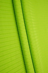 Rib Stretch Knit Fabric Solid