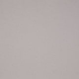 Spanish Natural Raised Polyester Blended Twill