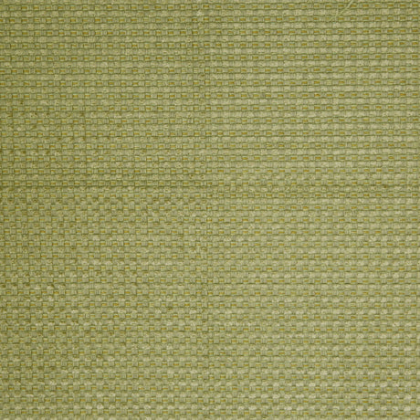 Avocado Novelty Basketweave Upholstery Fabric