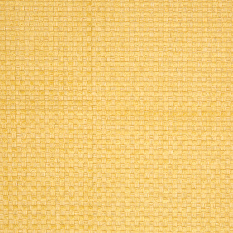 Sunshine Novelty Basketweave Upholstery Fabric